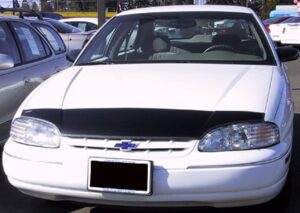 1995 Chevrolet Lumina with a magnetic car bra