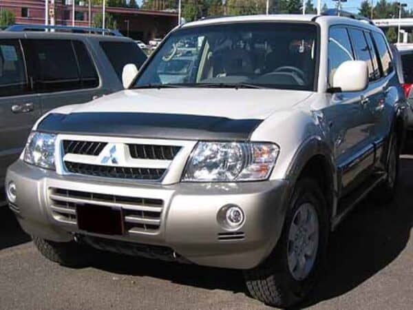 2001 Mitsubishi Montero with a magnetic bra