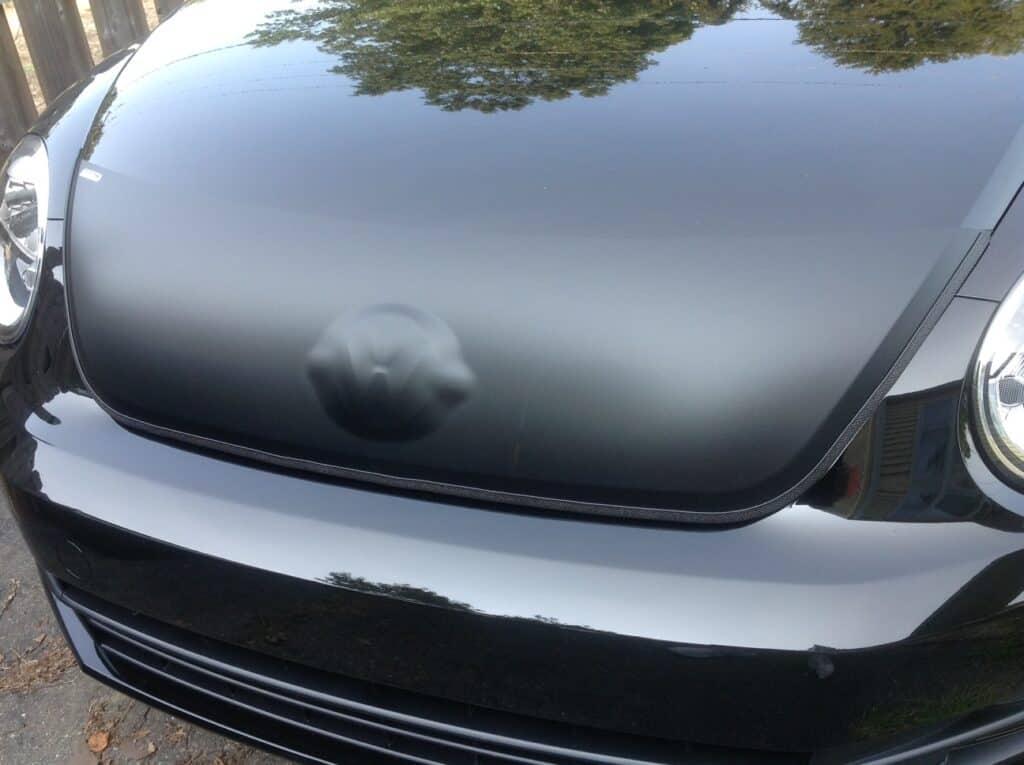 Beautiful Car Bra for VW Beetle 20122016